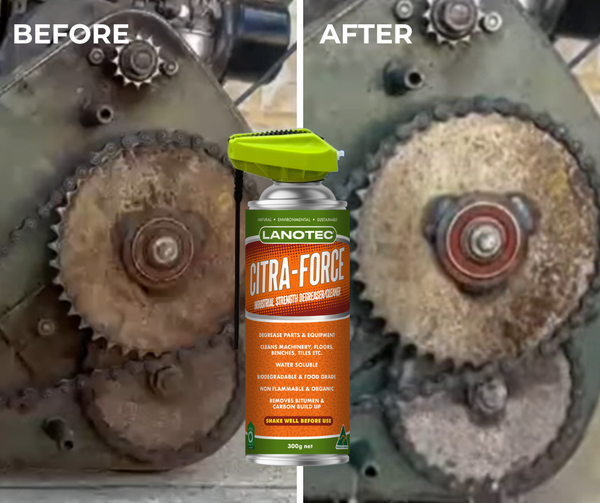 BEFORE & AFTER CITRA-FORCE